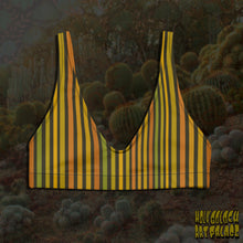 Load image into Gallery viewer, STANKY STRIPES <swim top> <bikini>